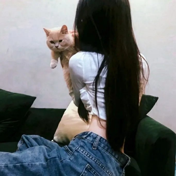 暴力云与送子鹳